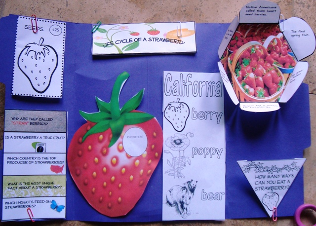 Strawberry Lapbook @ Tina's Dynamic Homeschool Plus